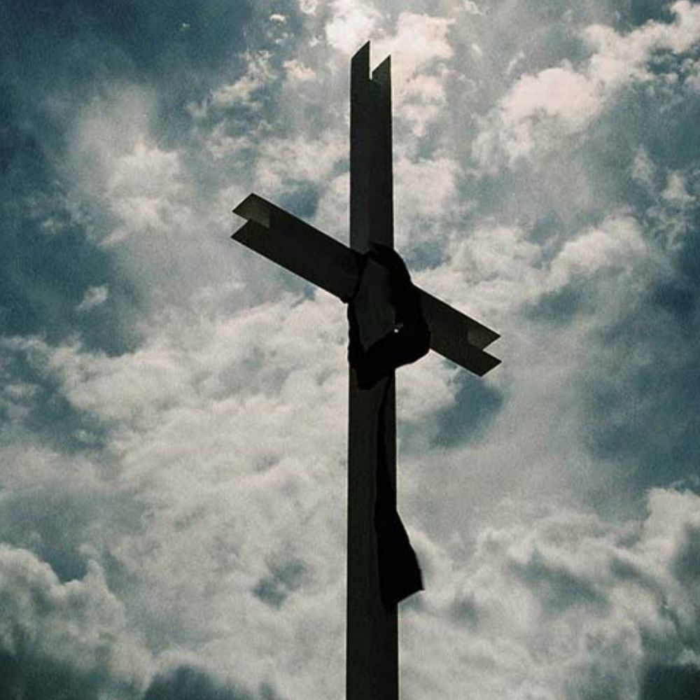 Meet your Posher, Iris